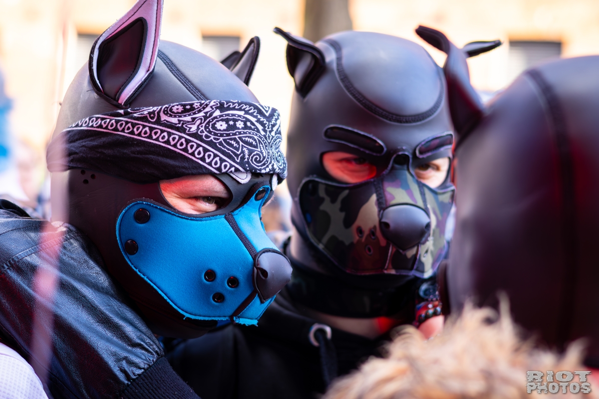2026-03-14 MancFurs-202603-069.jpg