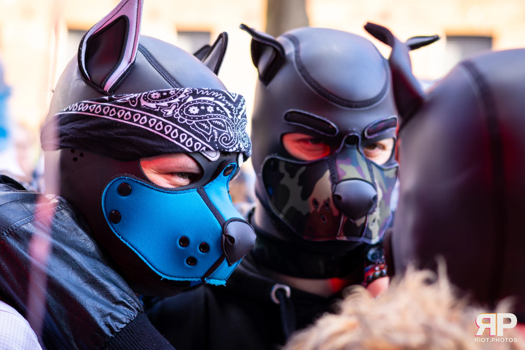 MancFurs - March, 2026 — 14 Mar 2026, Fluffy Riot photography — photo 69