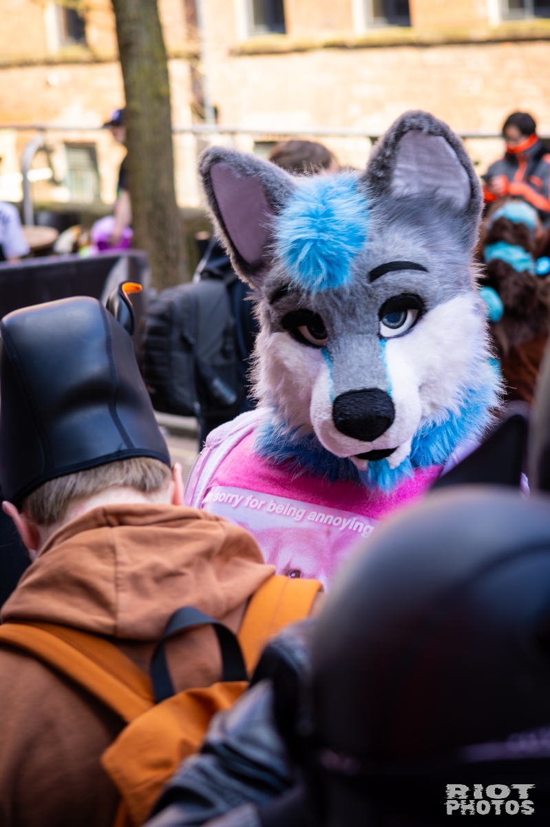 2026-03-14 MancFurs-202603-070.jpg