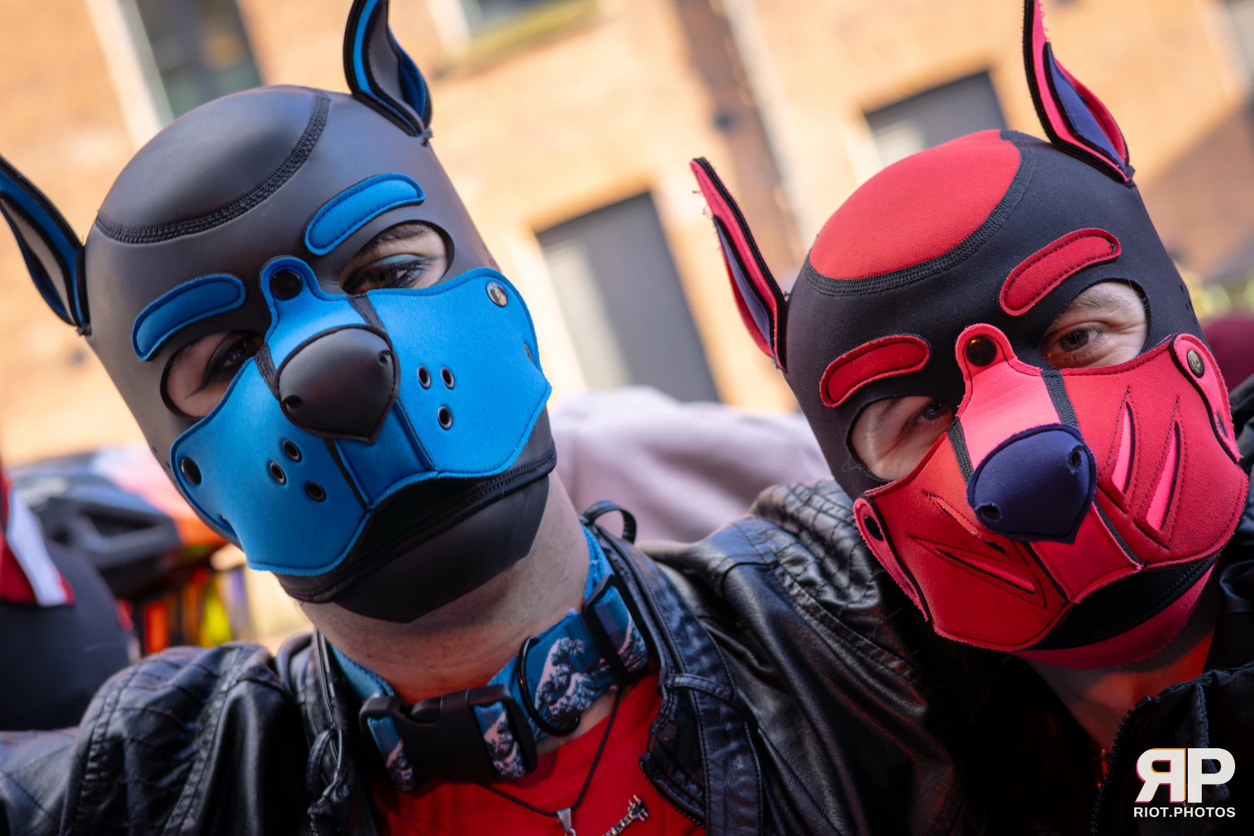 Pup Dande — furry & pup photography by Fluffy Riot — photo 16