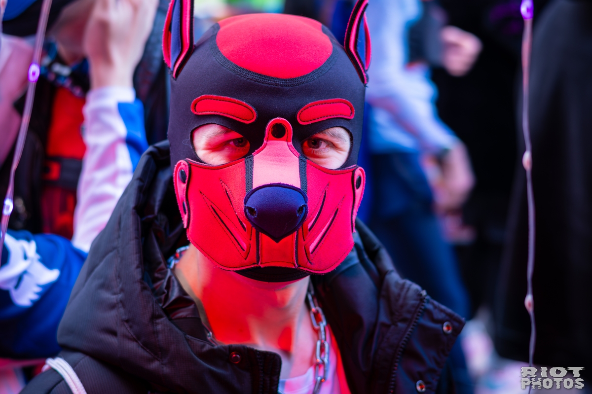 2026-03-14 MancFurs-202603-072.jpg