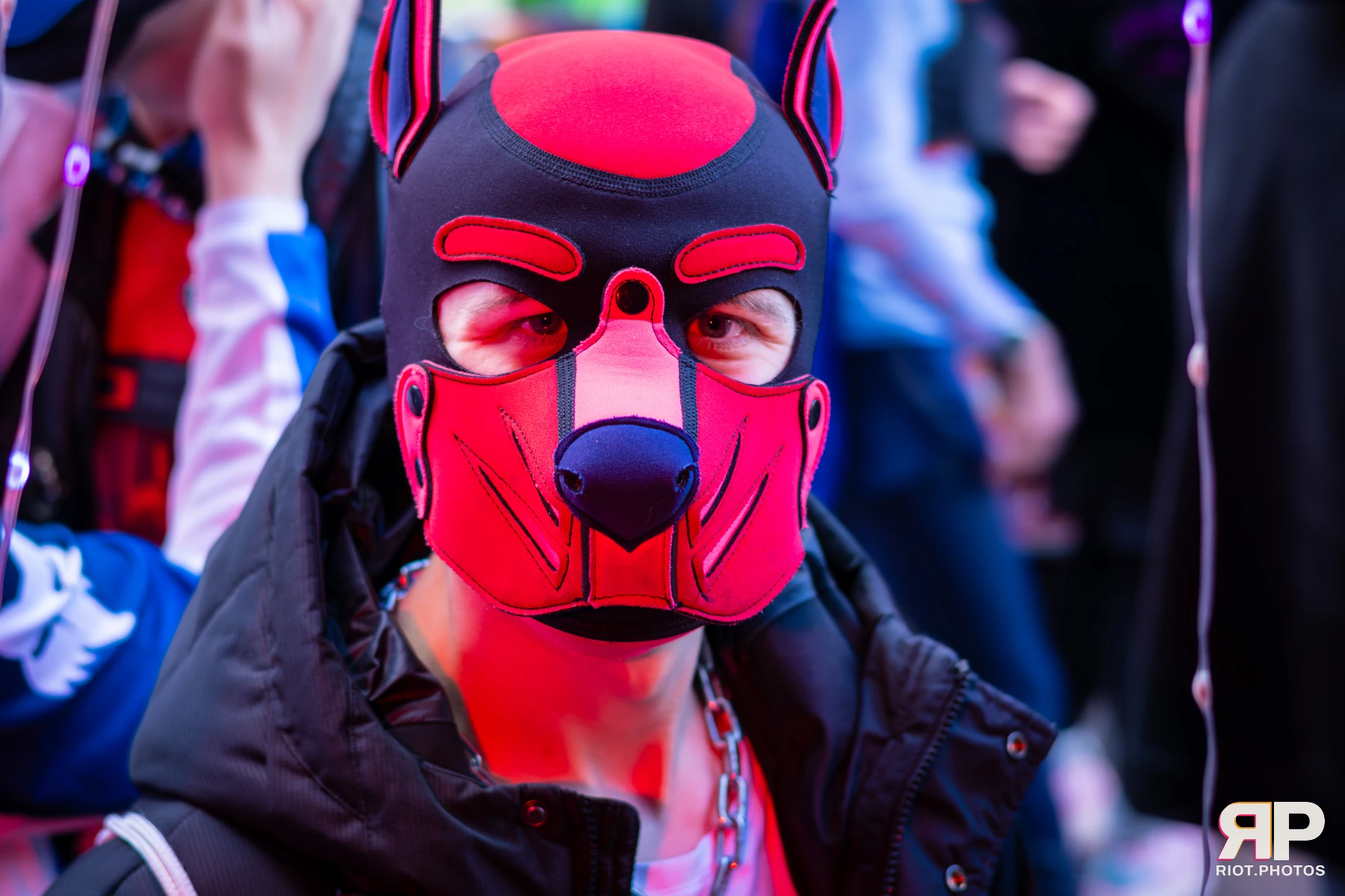 Pup Dande — furry & pup photography by Fluffy Riot — photo 17