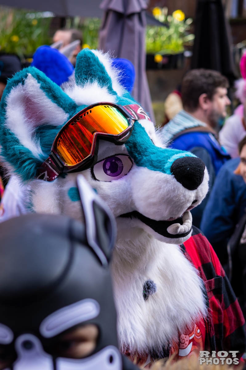 2026-03-14 MancFurs-202603-073.jpg