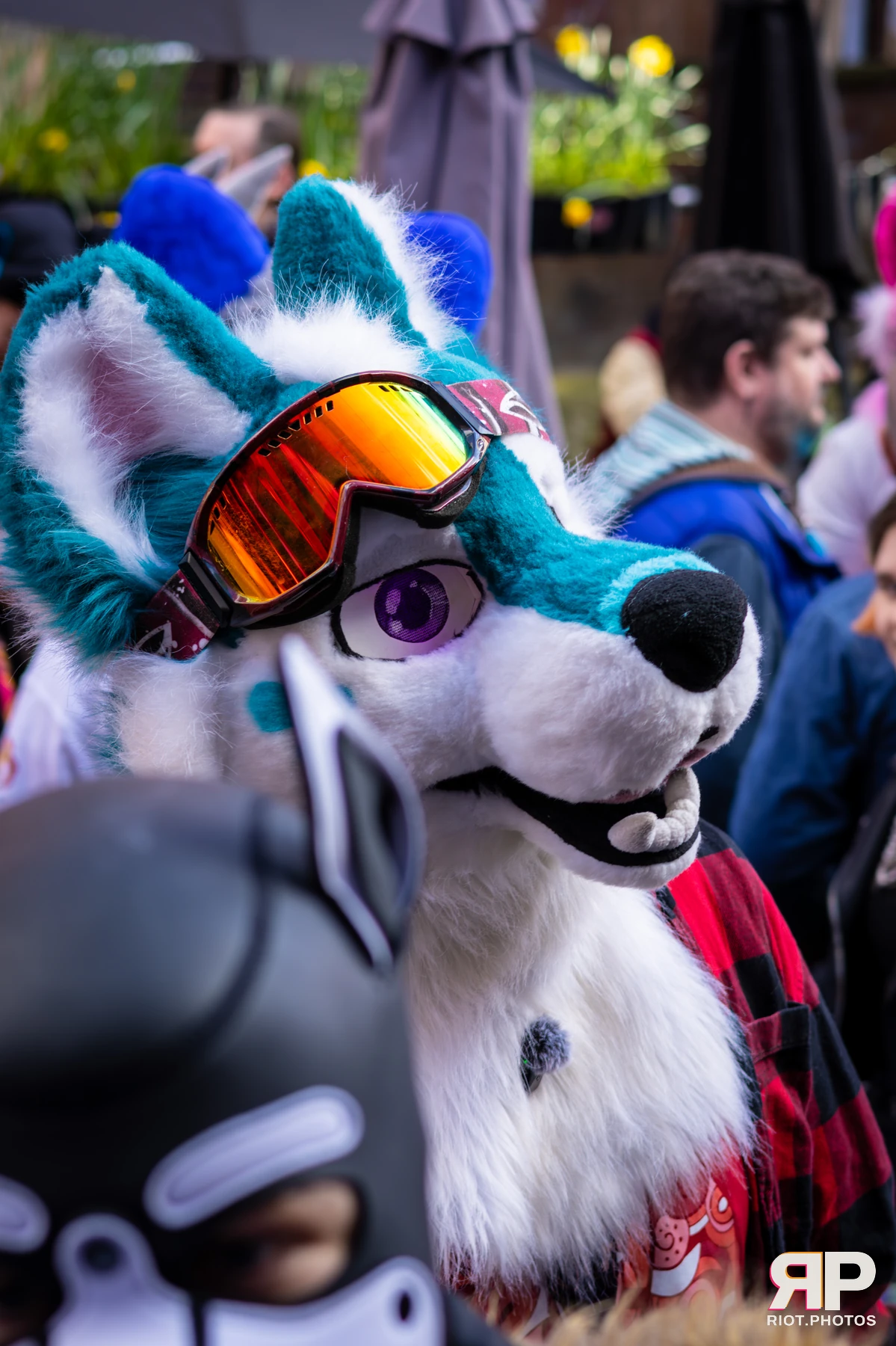 MancFurs - March, 2026 — 14 Mar 2026, Fluffy Riot photography — photo 73