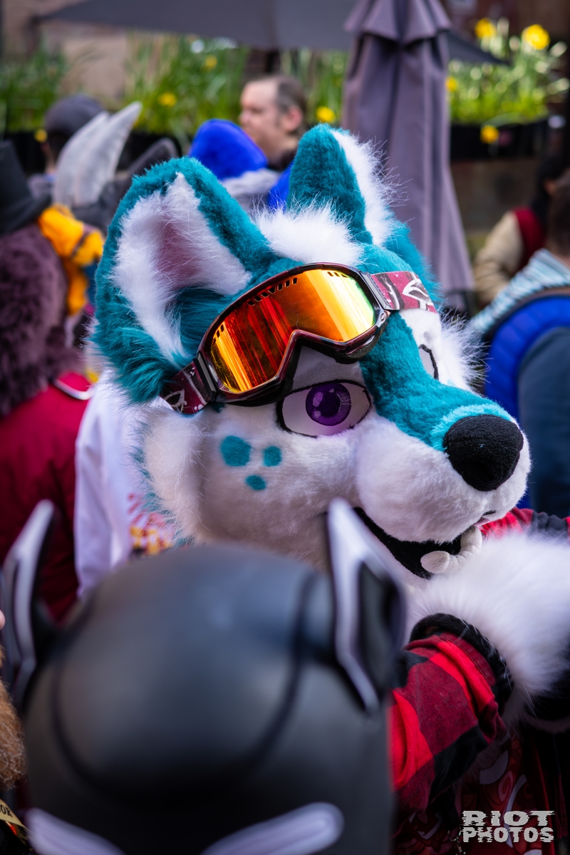 2026-03-14 MancFurs-202603-074.jpg