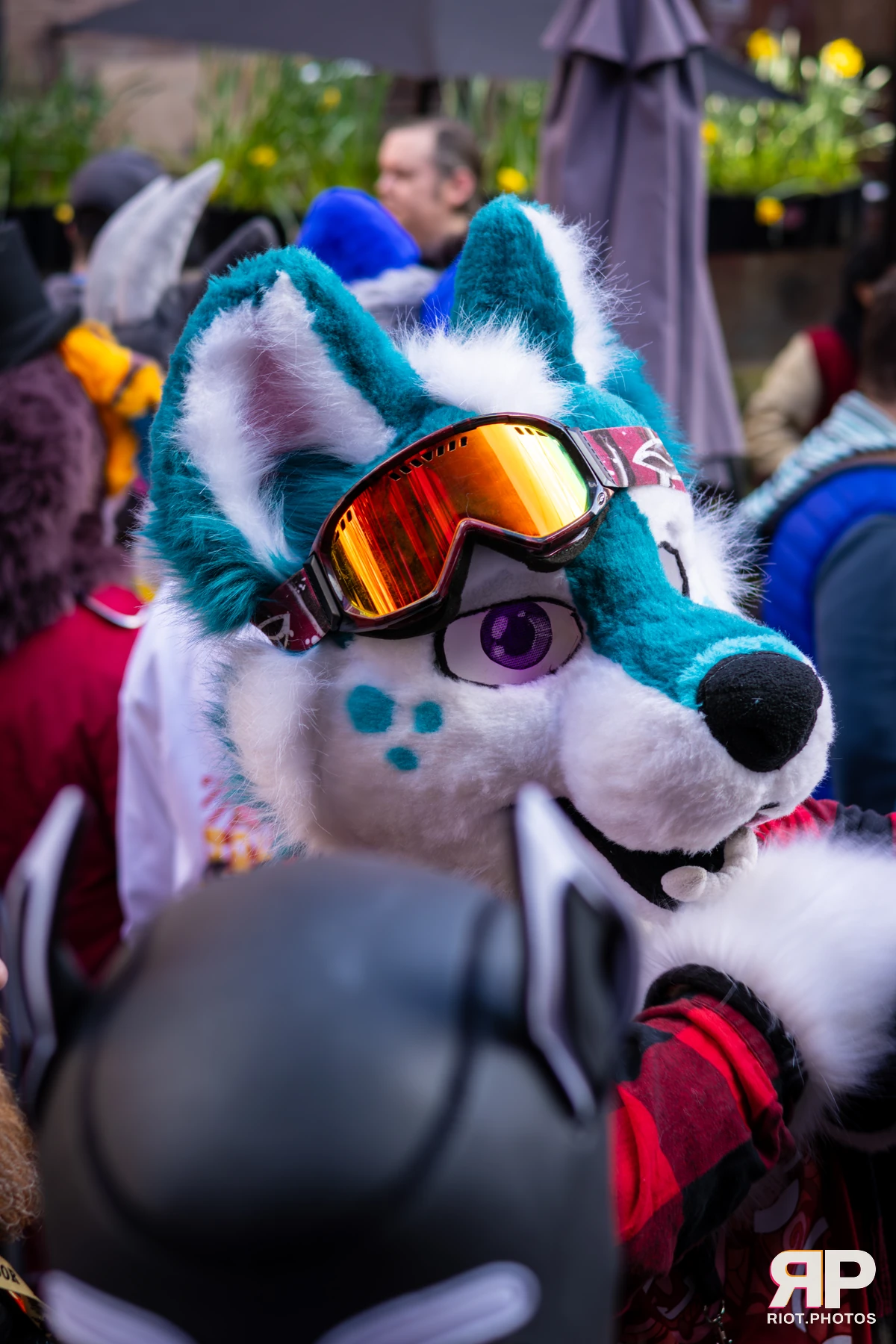 MancFurs - March, 2026 — 14 Mar 2026, Fluffy Riot photography — photo 74