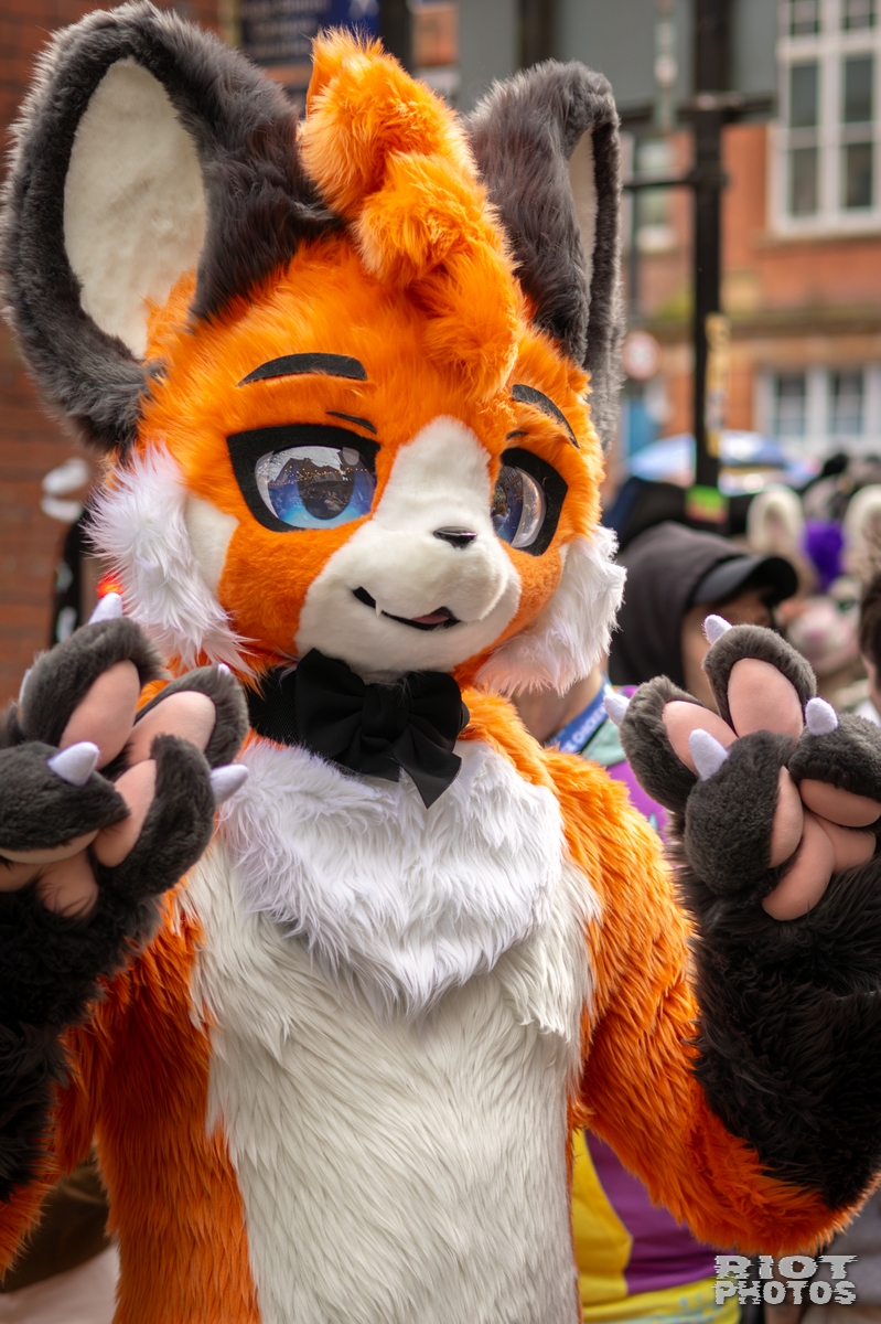 2026-04-11 MancFurs-202604-002.jpg