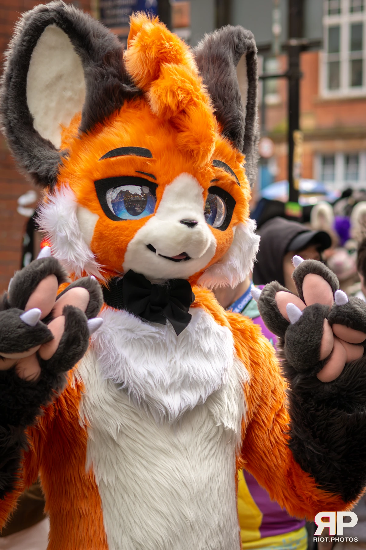 MancFurs - April, 2026 — 11 Apr 2026, Fluffy Riot photography — photo 2