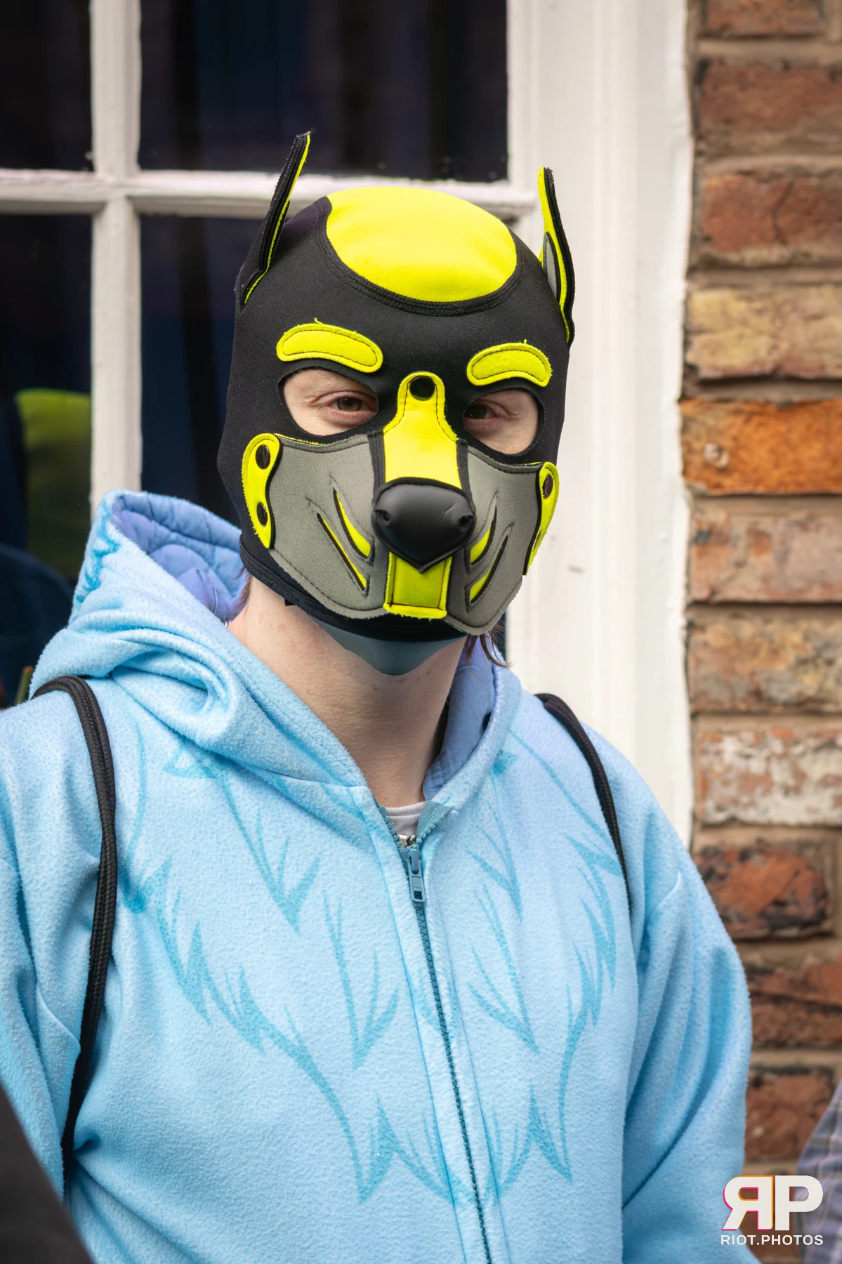 Artie — furry & pup photography by Fluffy Riot — photo 1