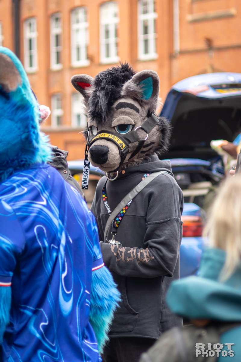 2026-04-11 MancFurs-202604-008.jpg