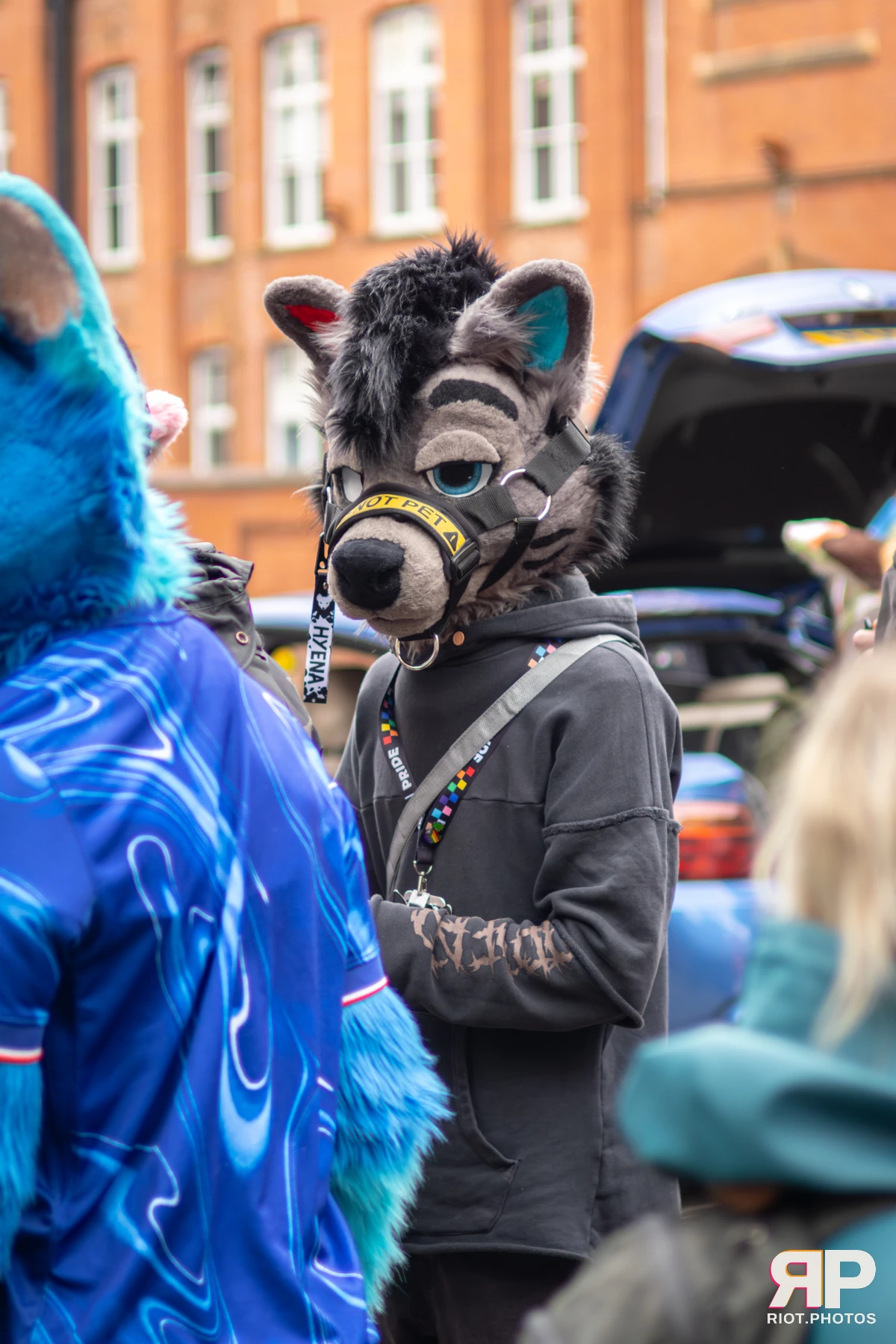 MancFurs - April, 2026 — 11 Apr 2026, Fluffy Riot photography — photo 8
