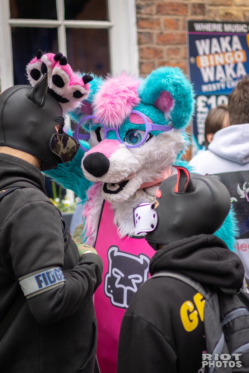 2026-04-11 MancFurs-202604-010.jpg