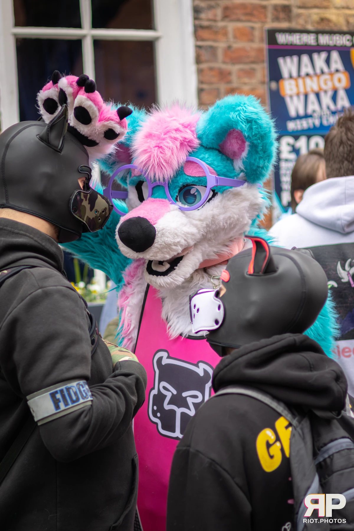 Pup Kaz — furry & pup photography by Fluffy Riot — photo 135
