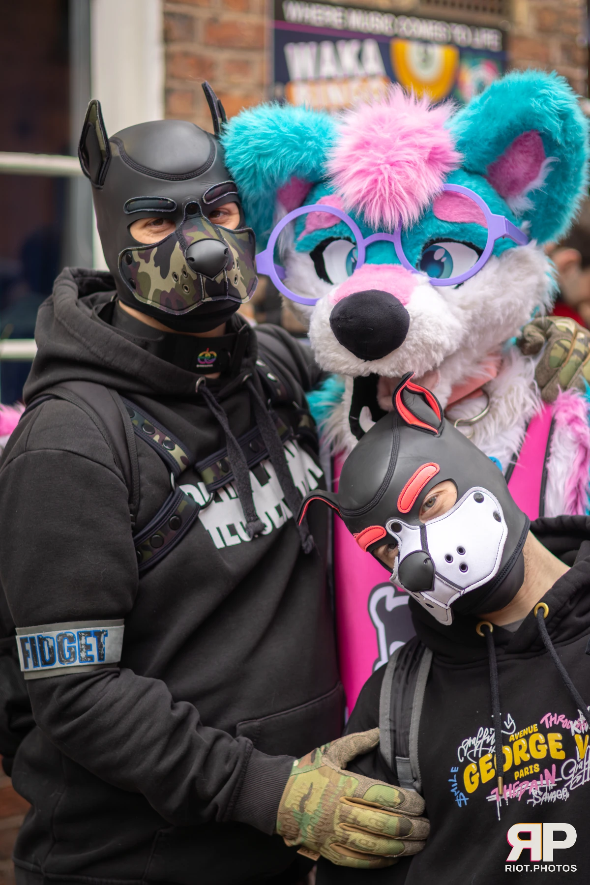Pup Kaz — furry & pup photography by Fluffy Riot — photo 136