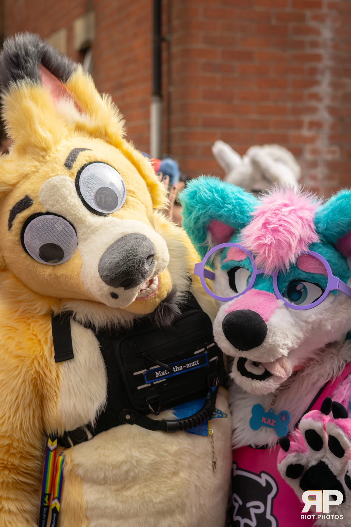 Pup Kaz — furry & pup photography by Fluffy Riot — photo 137