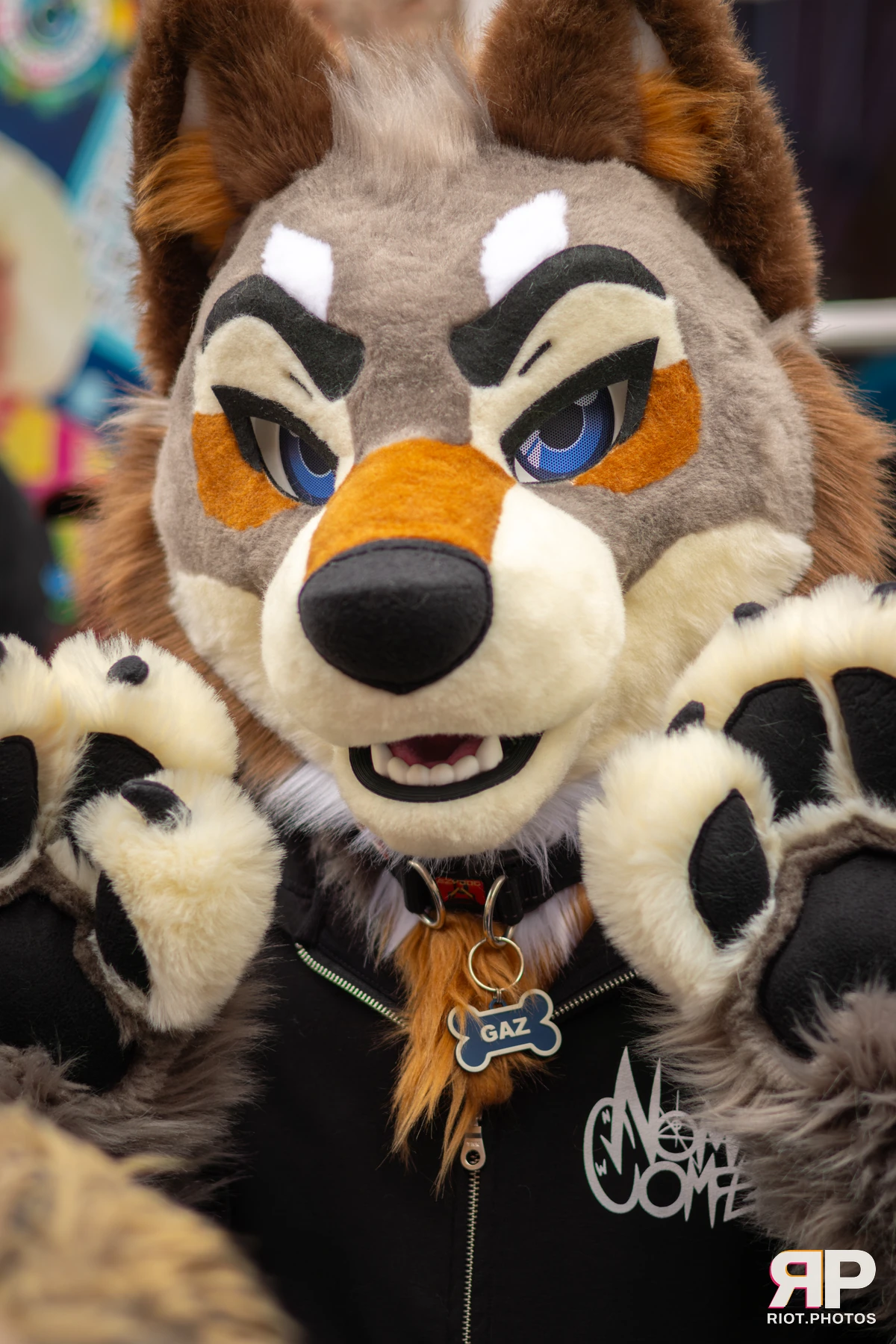 MancFurs - April, 2026 — 11 Apr 2026, Fluffy Riot photography — photo 13