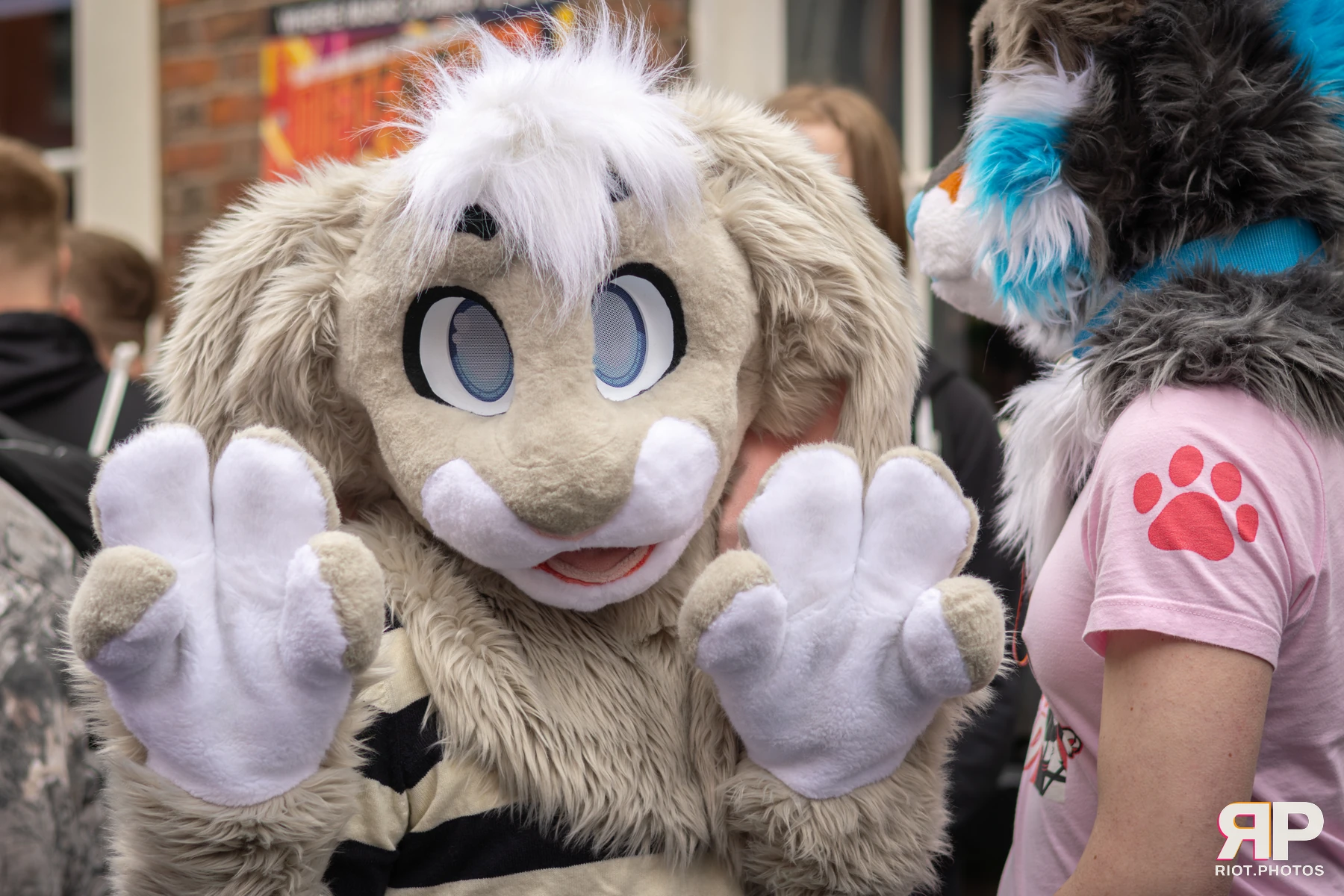 MancFurs - April, 2026 — 11 Apr 2026, Fluffy Riot photography — photo 14