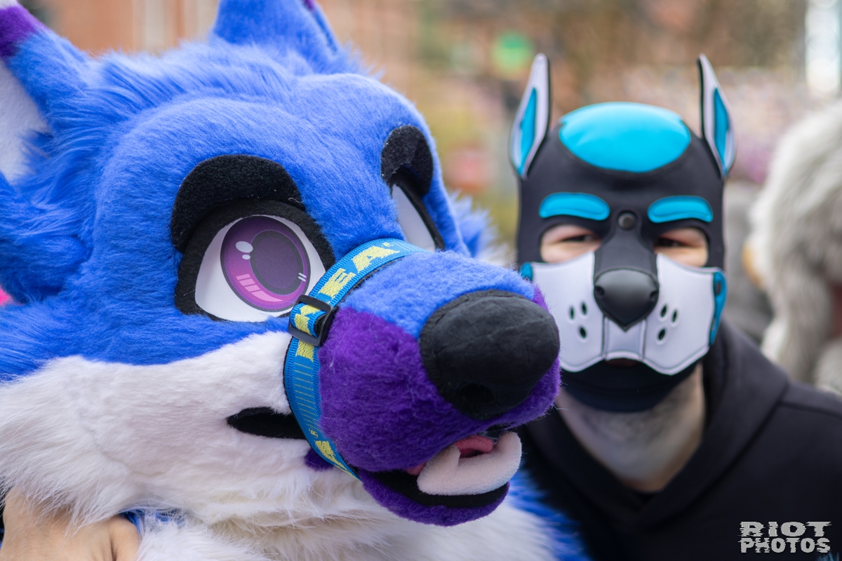 MancFurs - April, 2026