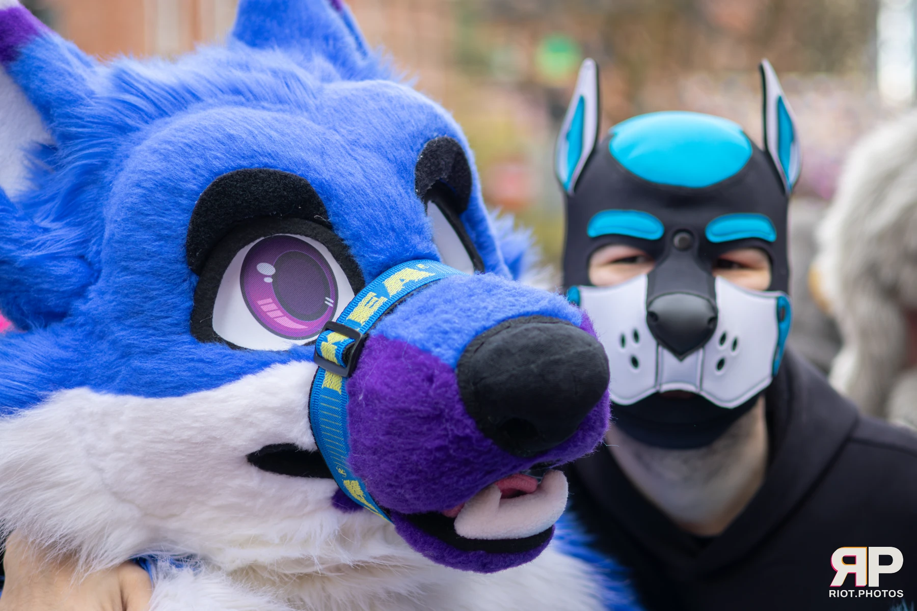 MancFurs - April, 2026