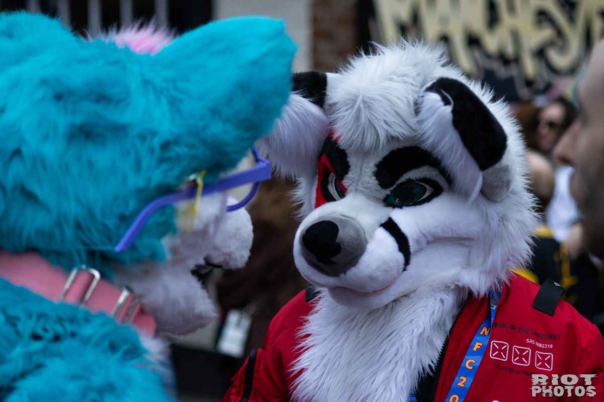 2026-06-13 MancFurs-202606-001.jpg
