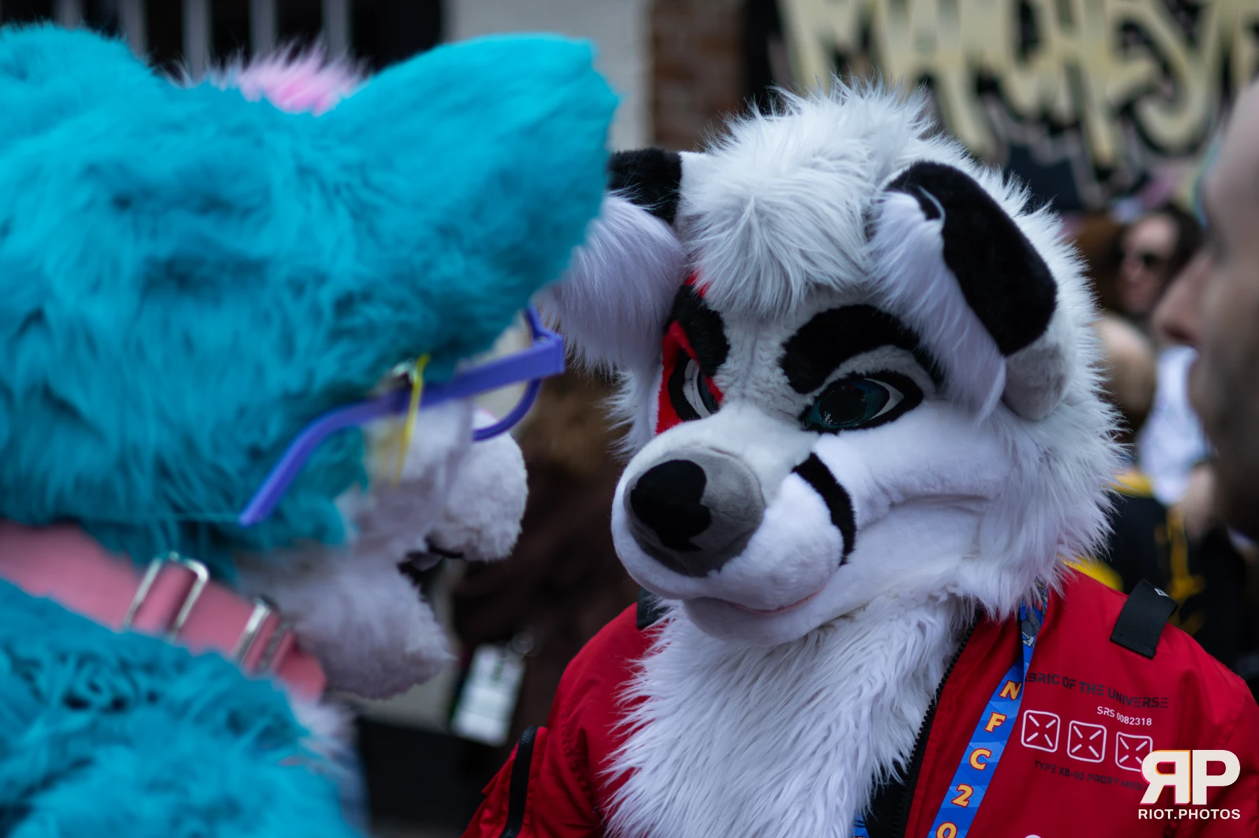 Pup Kaz — furry & pup photography by Fluffy Riot — photo 80