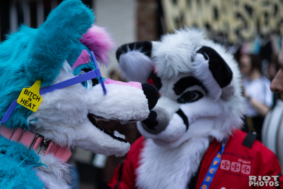 2026-06-13 MancFurs-202606-002.jpg