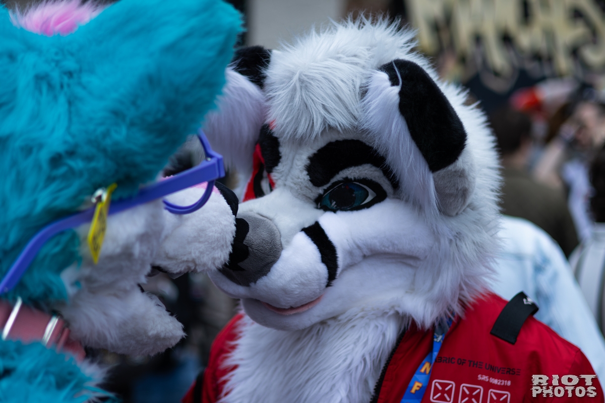 2026-06-13 MancFurs-202606-003.jpg