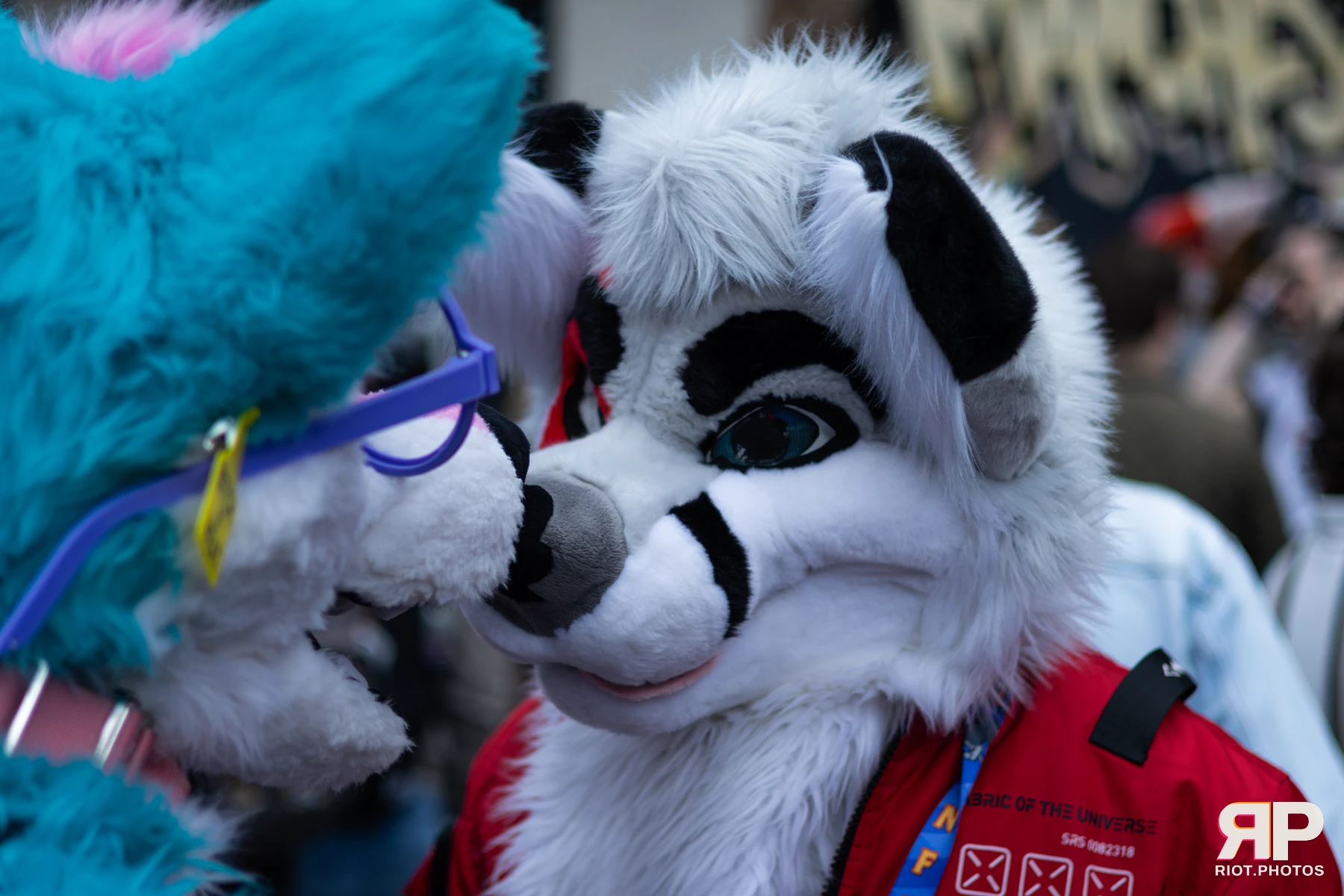 Pup Kaz — furry & pup photography by Fluffy Riot — photo 82