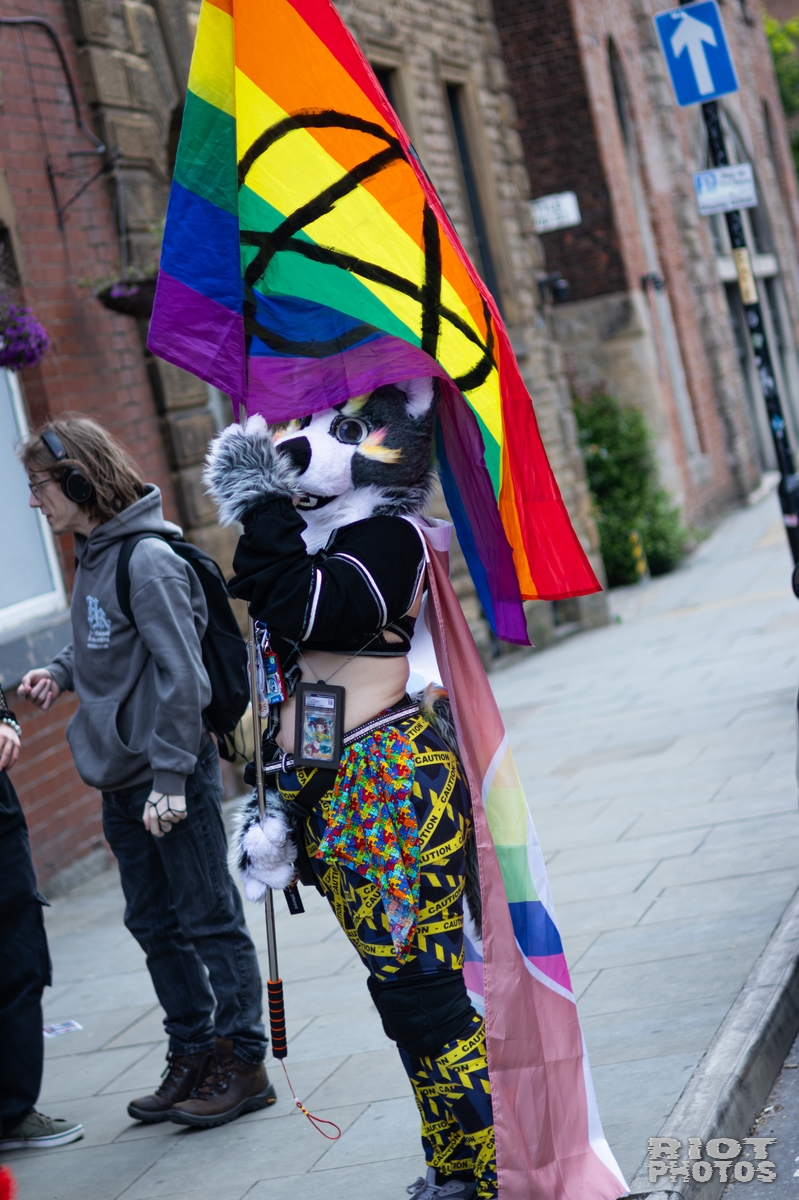 2026-06-13 MancFurs-202606-004.jpg