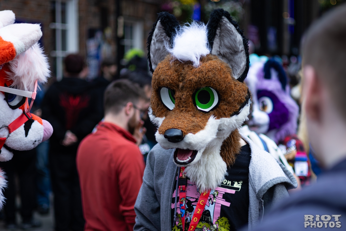 2026-06-13 MancFurs-202606-005.jpg