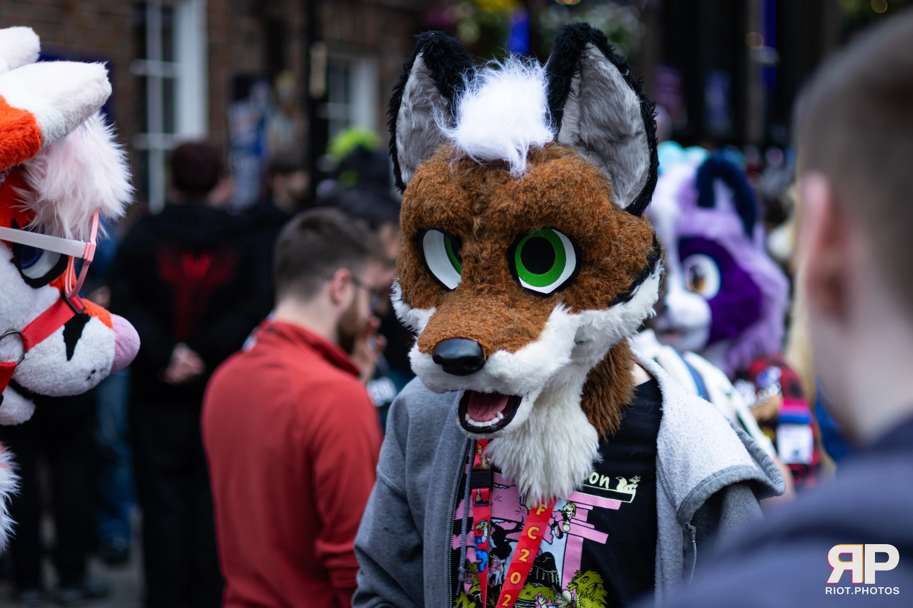 MancFurs - June, 2026 — 13 Jun 2026, Fluffy Riot photography — photo 5