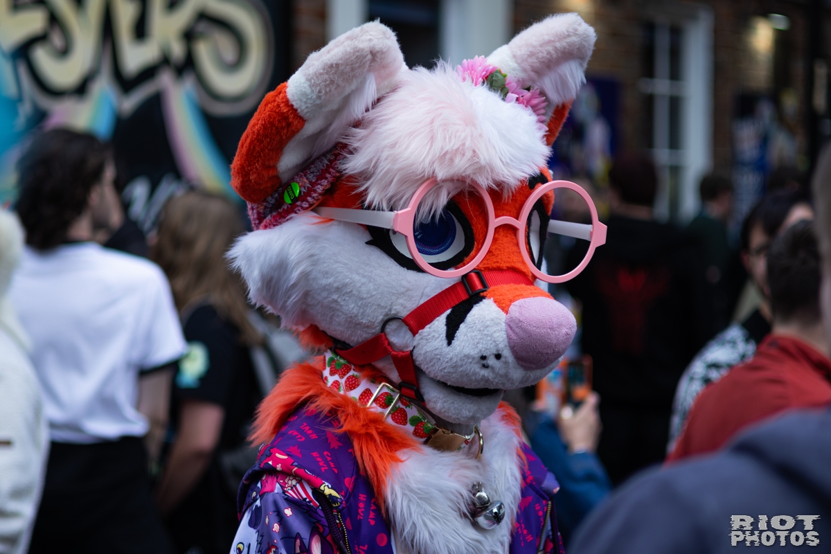 2026-06-13 MancFurs-202606-006.jpg