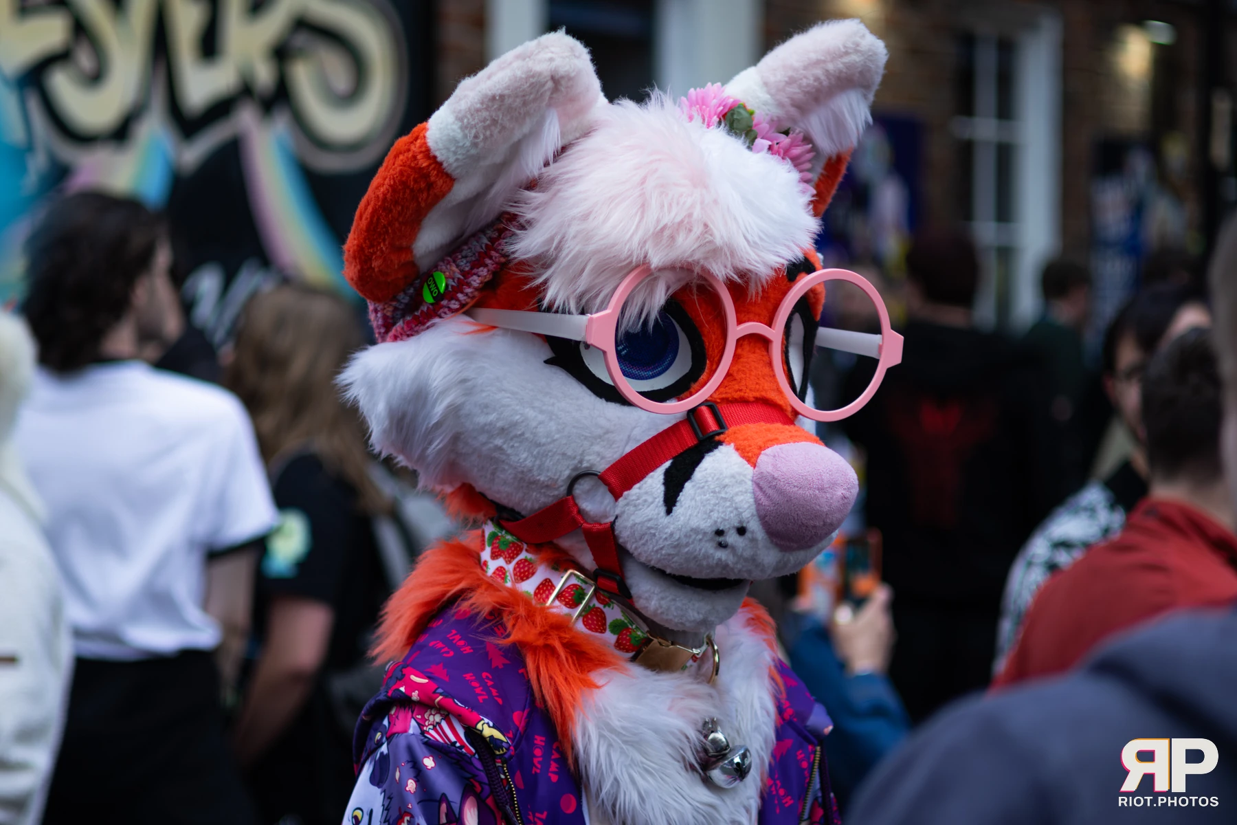 MancFurs - June, 2026 — 13 Jun 2026, Fluffy Riot photography — photo 6