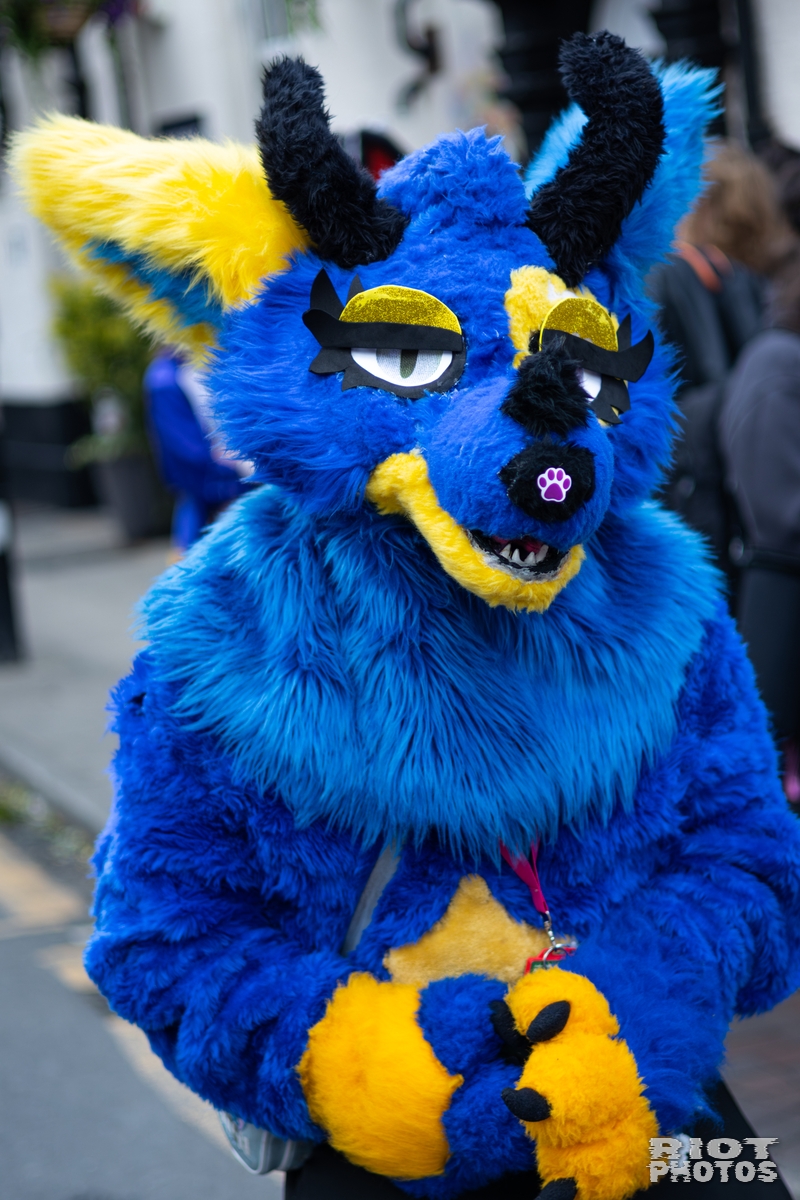 2026-06-13 MancFurs-202606-008.jpg