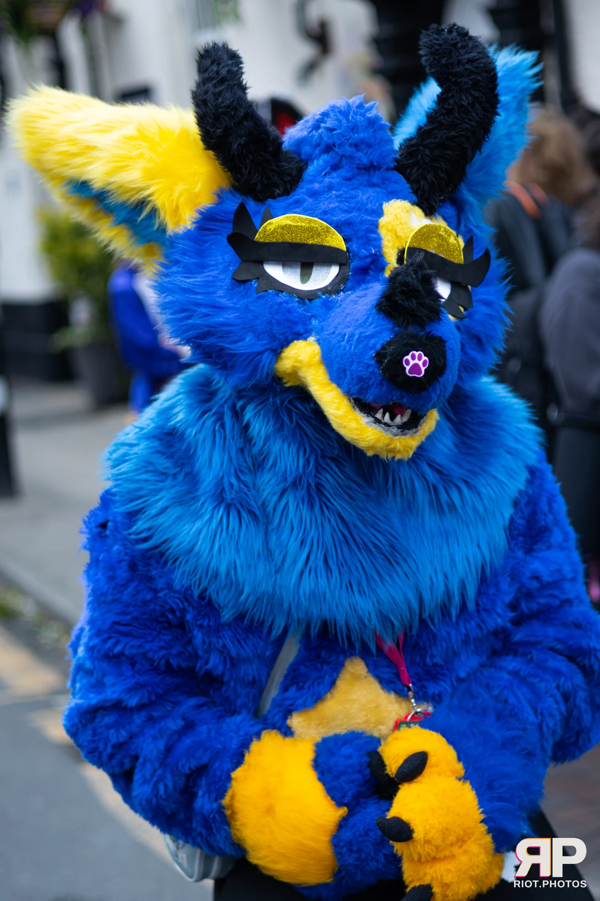 MancFurs - June, 2026 — 13 Jun 2026, Fluffy Riot photography — photo 8