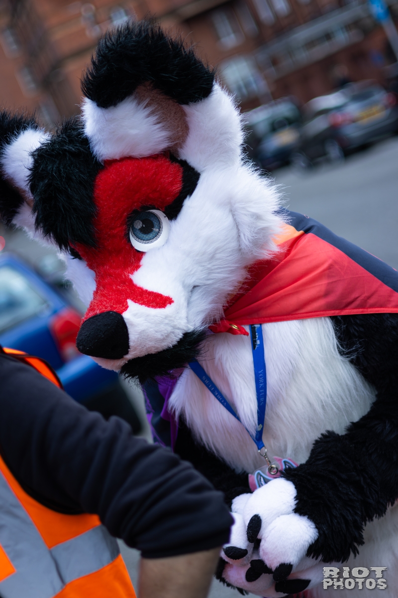 2026-06-13 MancFurs-202606-009.jpg