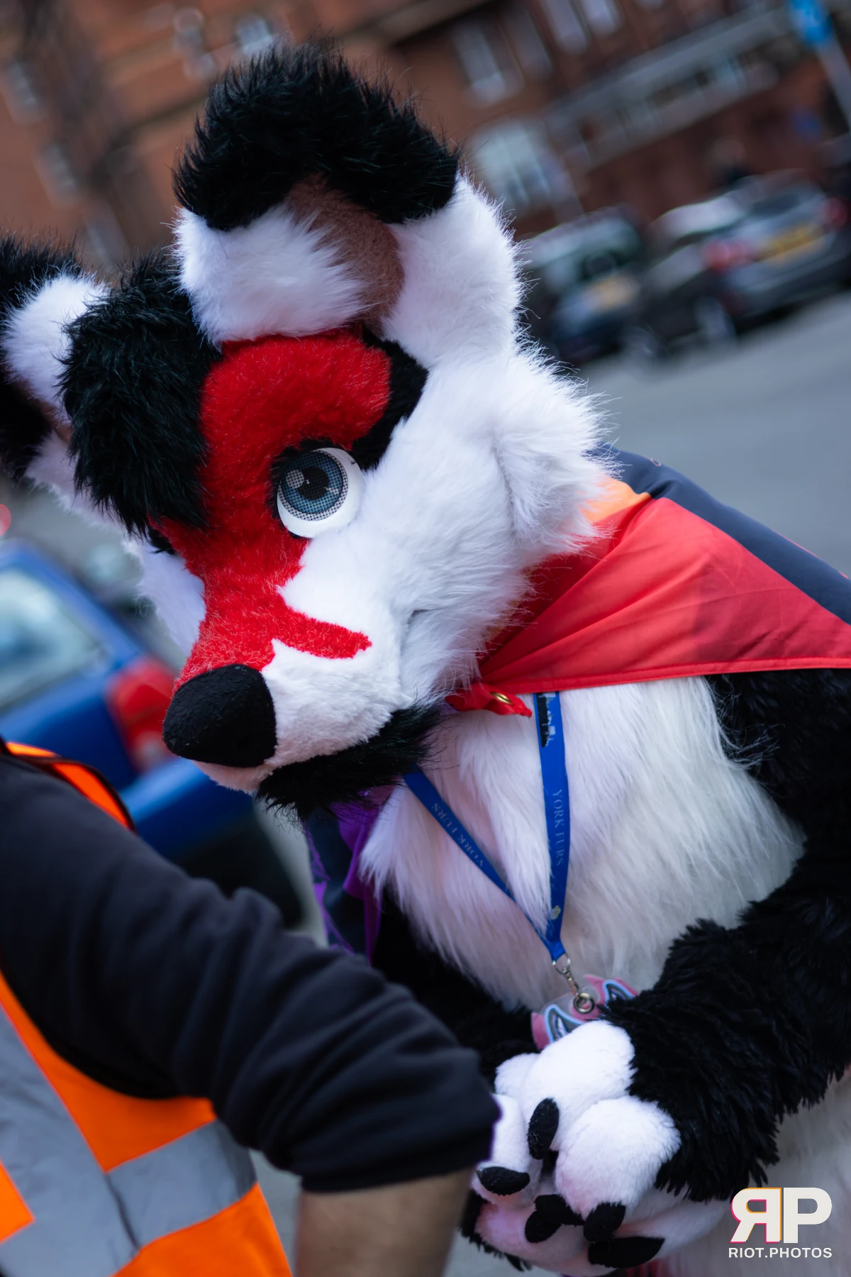 MancFurs - June, 2026 — 13 Jun 2026, Fluffy Riot photography — photo 9