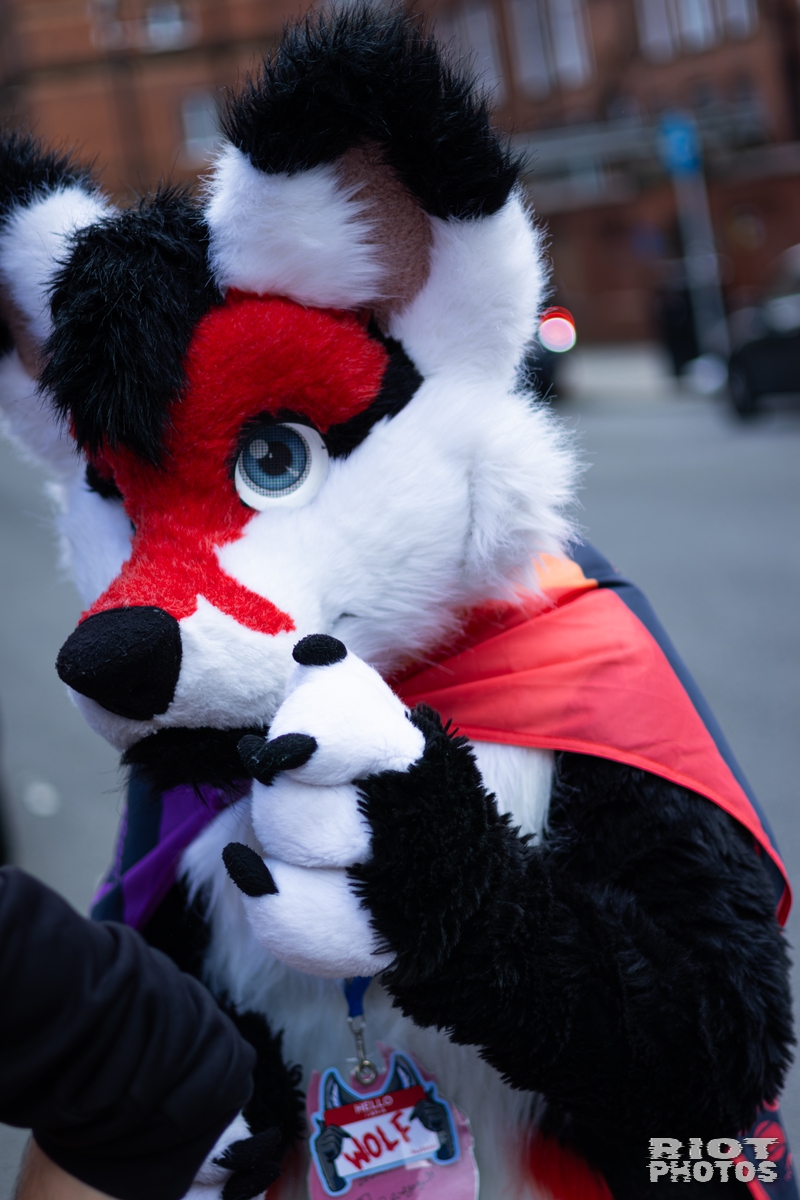 2026-06-13 MancFurs-202606-010.jpg