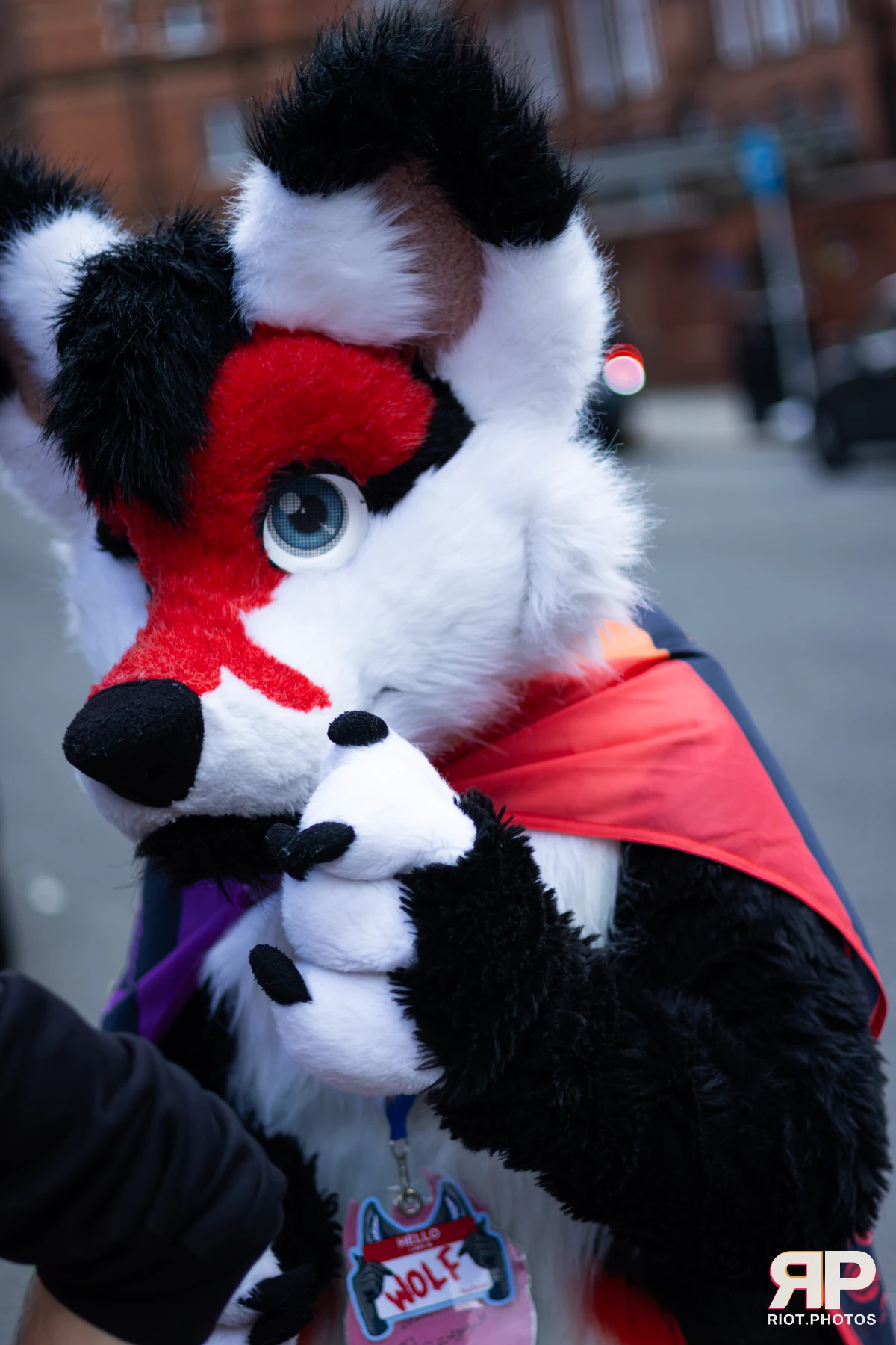 MancFurs - June, 2026 — 13 Jun 2026, Fluffy Riot photography — photo 10
