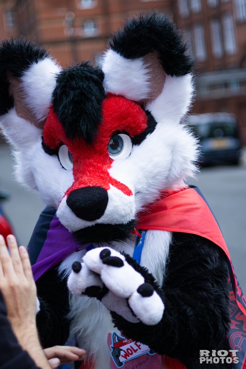2026-06-13 MancFurs-202606-011.jpg