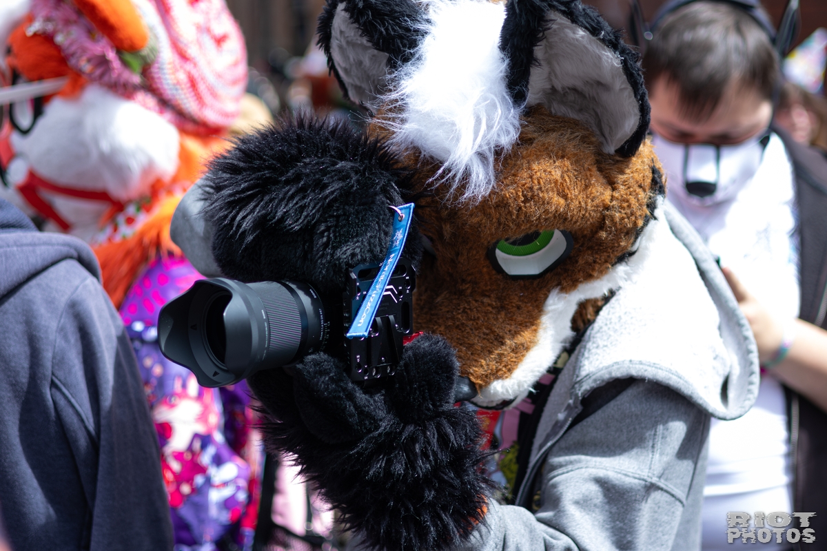 2026-06-13 MancFurs-202606-012.jpg
