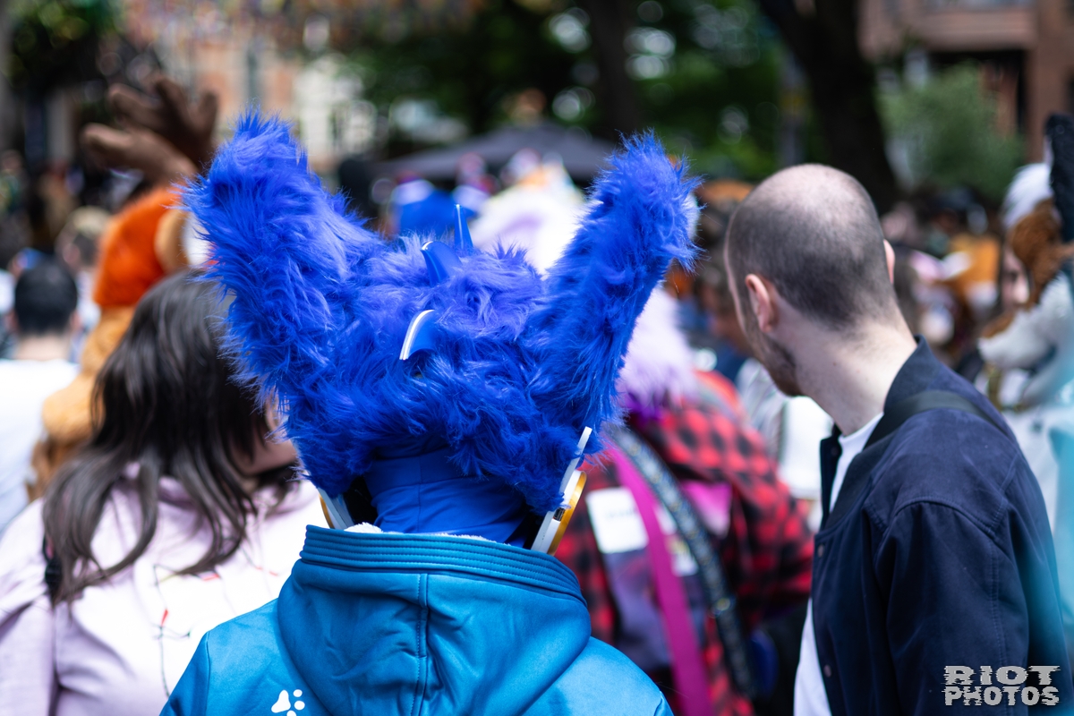 2026-06-13 MancFurs-202606-013.jpg