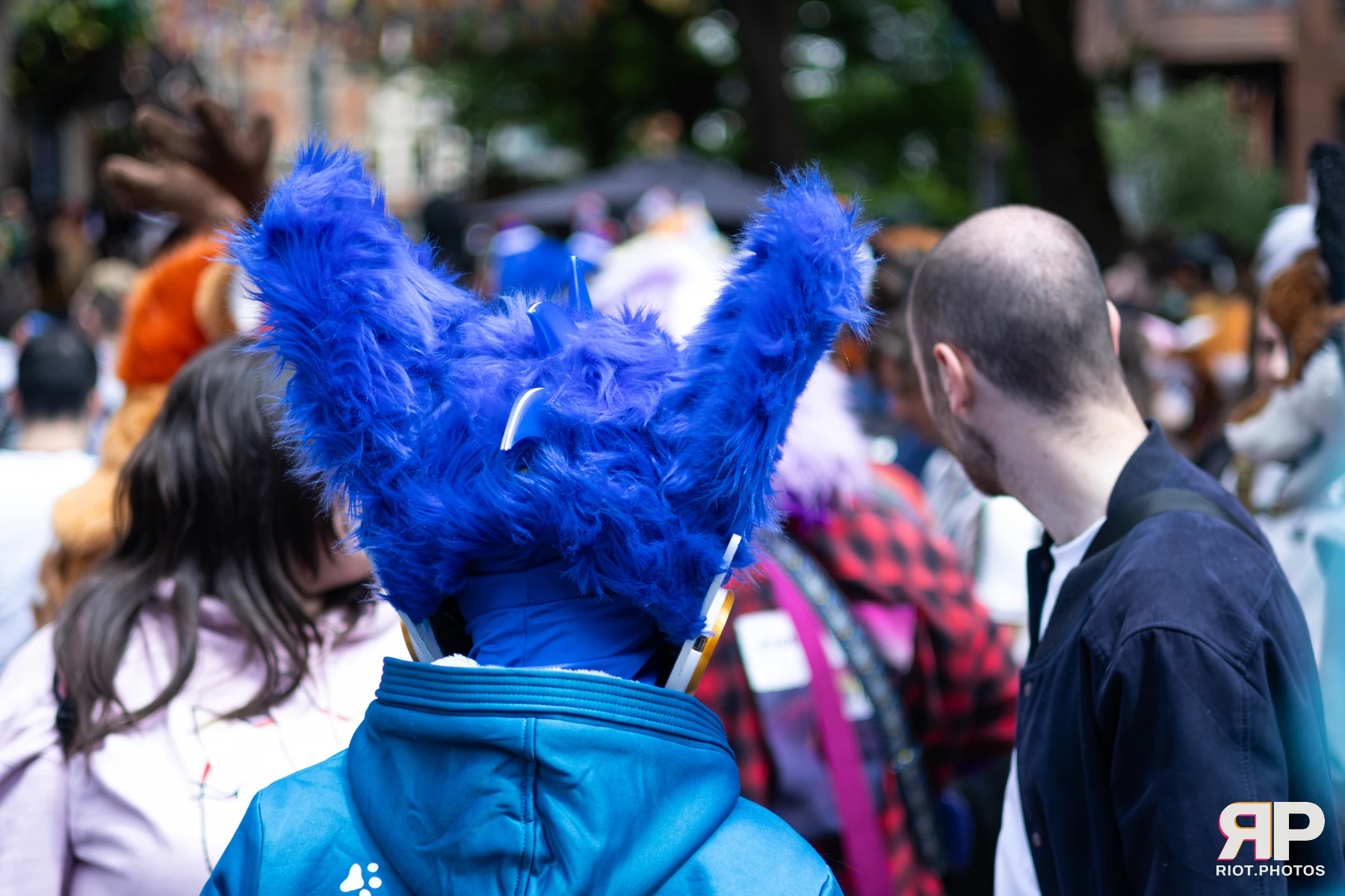 MancFurs - June, 2026 — 13 Jun 2026, Fluffy Riot photography — photo 13