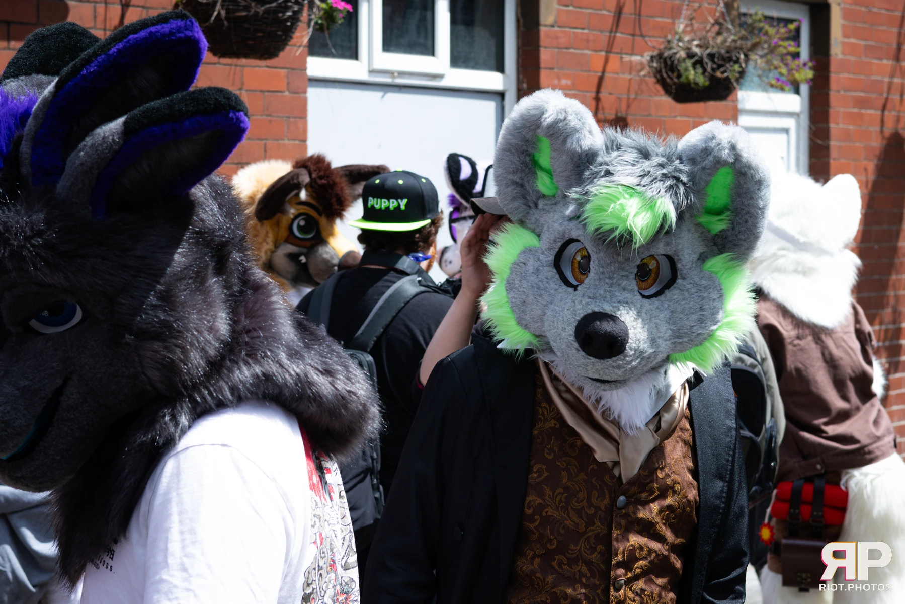 MancFurs - June, 2026 — 13 Jun 2026, Fluffy Riot photography — photo 14