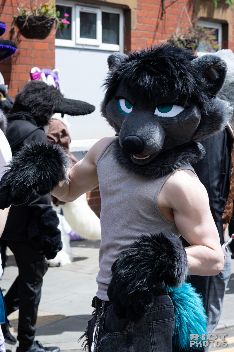 2026-06-13 MancFurs-202606-015.jpg