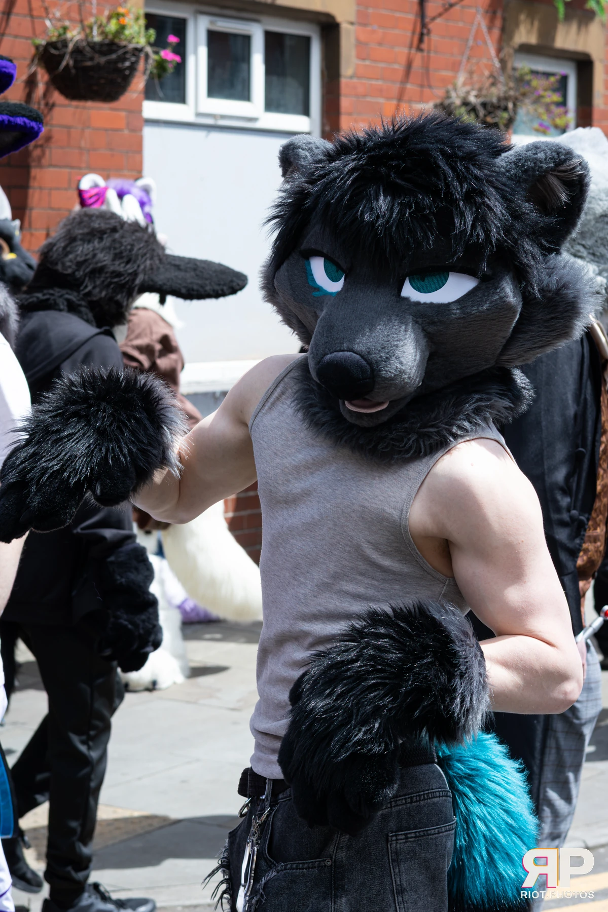 MancFurs - June, 2026 — 13 Jun 2026, Fluffy Riot photography — photo 15