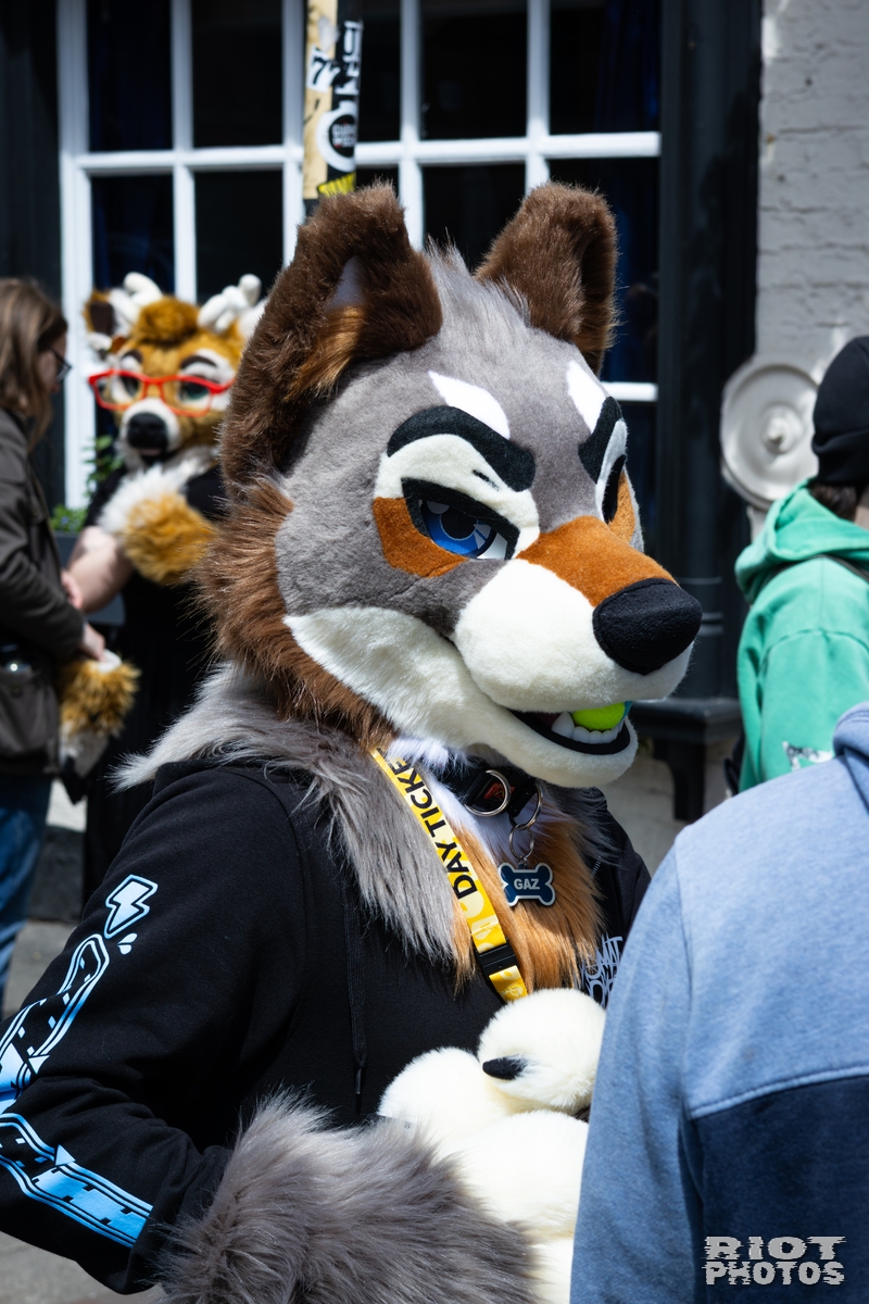 2026-06-13 MancFurs-202606-016.jpg