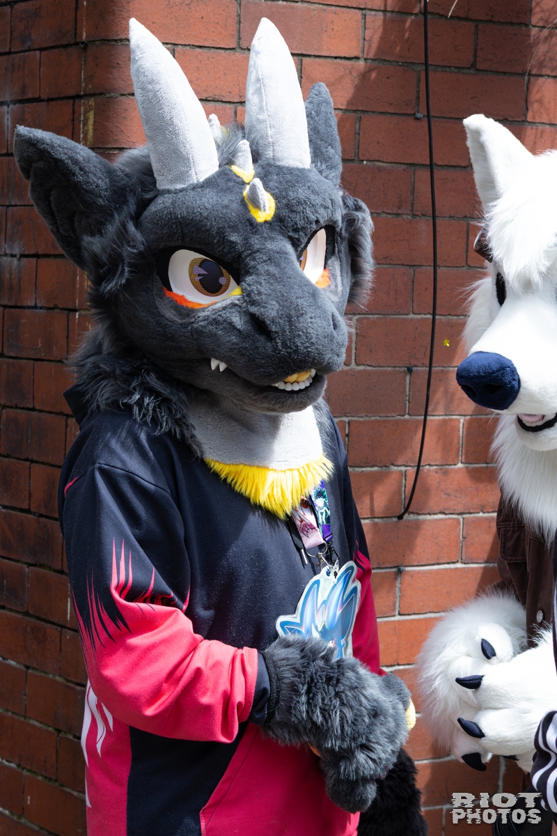 2026-06-13 MancFurs-202606-017.jpg