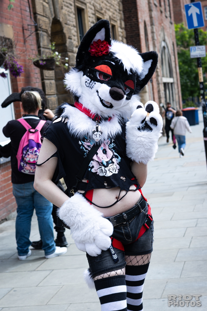 2026-06-13 MancFurs-202606-018.jpg