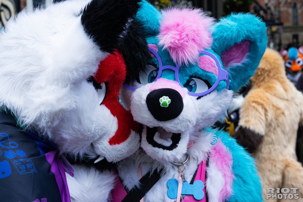 2026-06-13 MancFurs-202606-019.jpg